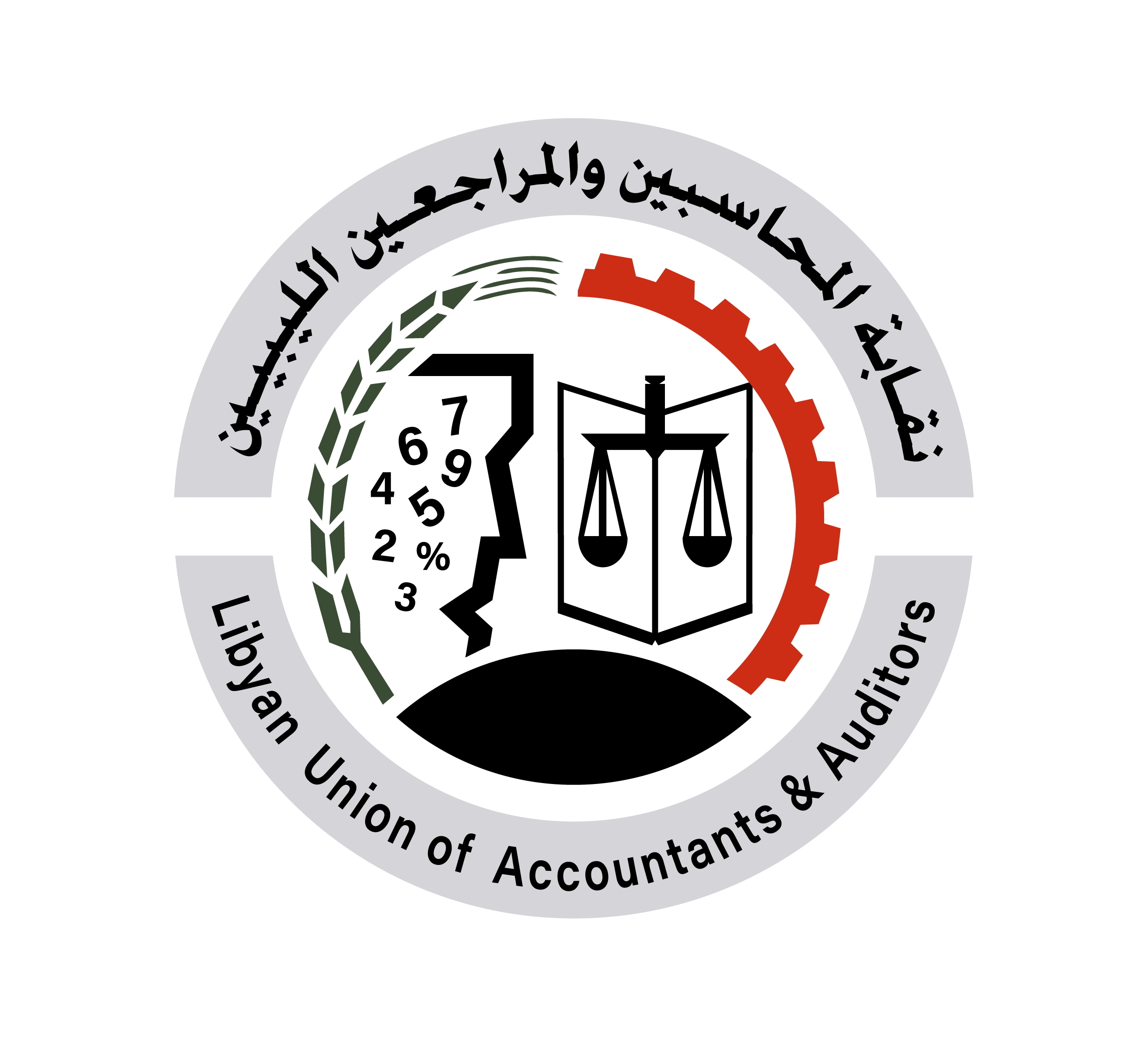accounting studies